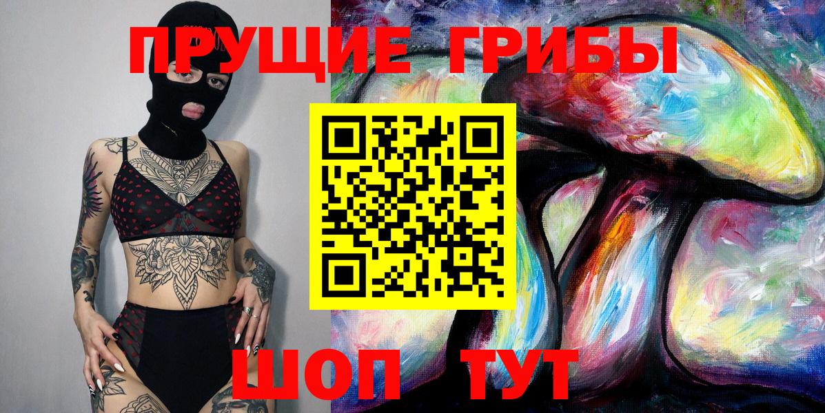 Галлюциногенные грибы Psilocybine cubensis Ртищево