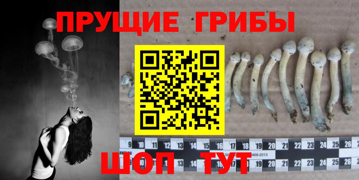 Ртищево  Псилоцибиновые грибы GOLDEN TEACHER  Галлюциногенные грибы GOLDEN TEACHER  Вход с VPN 